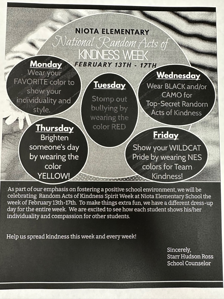Kindness dress up week
